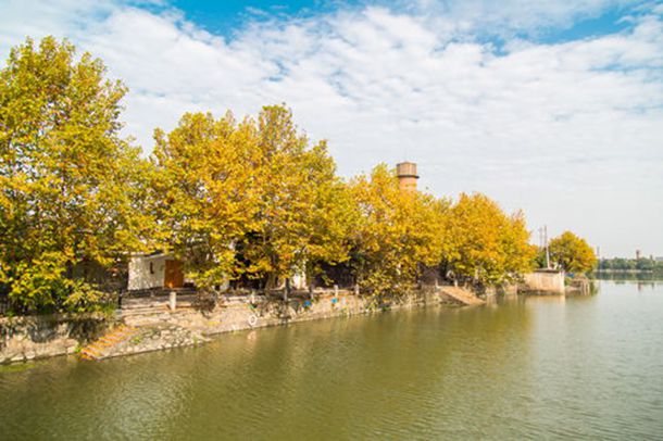 芒果女演员刘露，介绍刘露的演艺生涯和作品