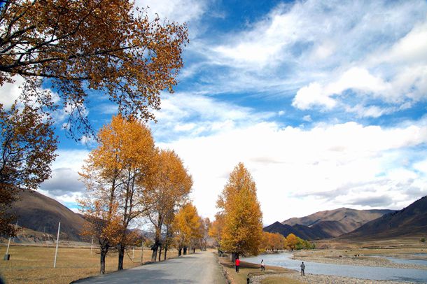 广西的宝贝鹅，你们的嘴巴好严，这么好吃的东西怎么不早点分享出来！