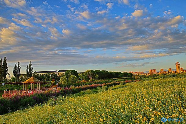 张一山又一新剧开机，搭档演员都是实力派，看清阵容追定了