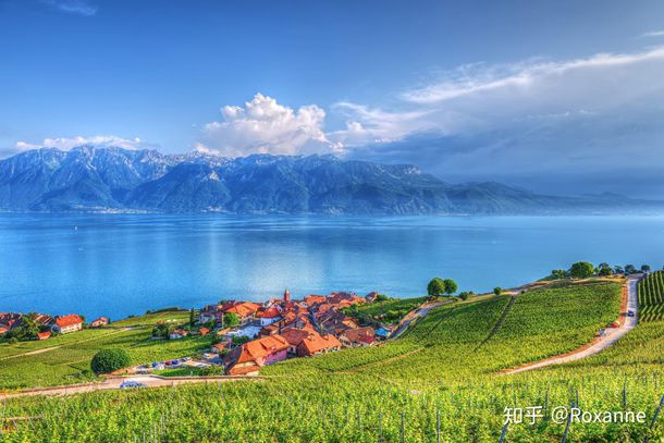 原创斗罗大陆：戴沐白的情谊，兄弟的女朋友被欺负，我第一个不答应