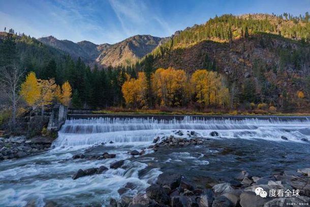 揭秘林永健的成名之路从草根到巨星的成长故事